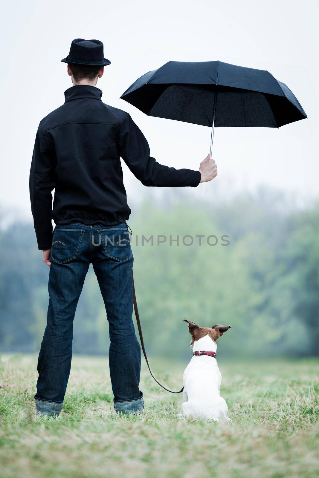 friendship between dog and owner standing in the rain with umbrella