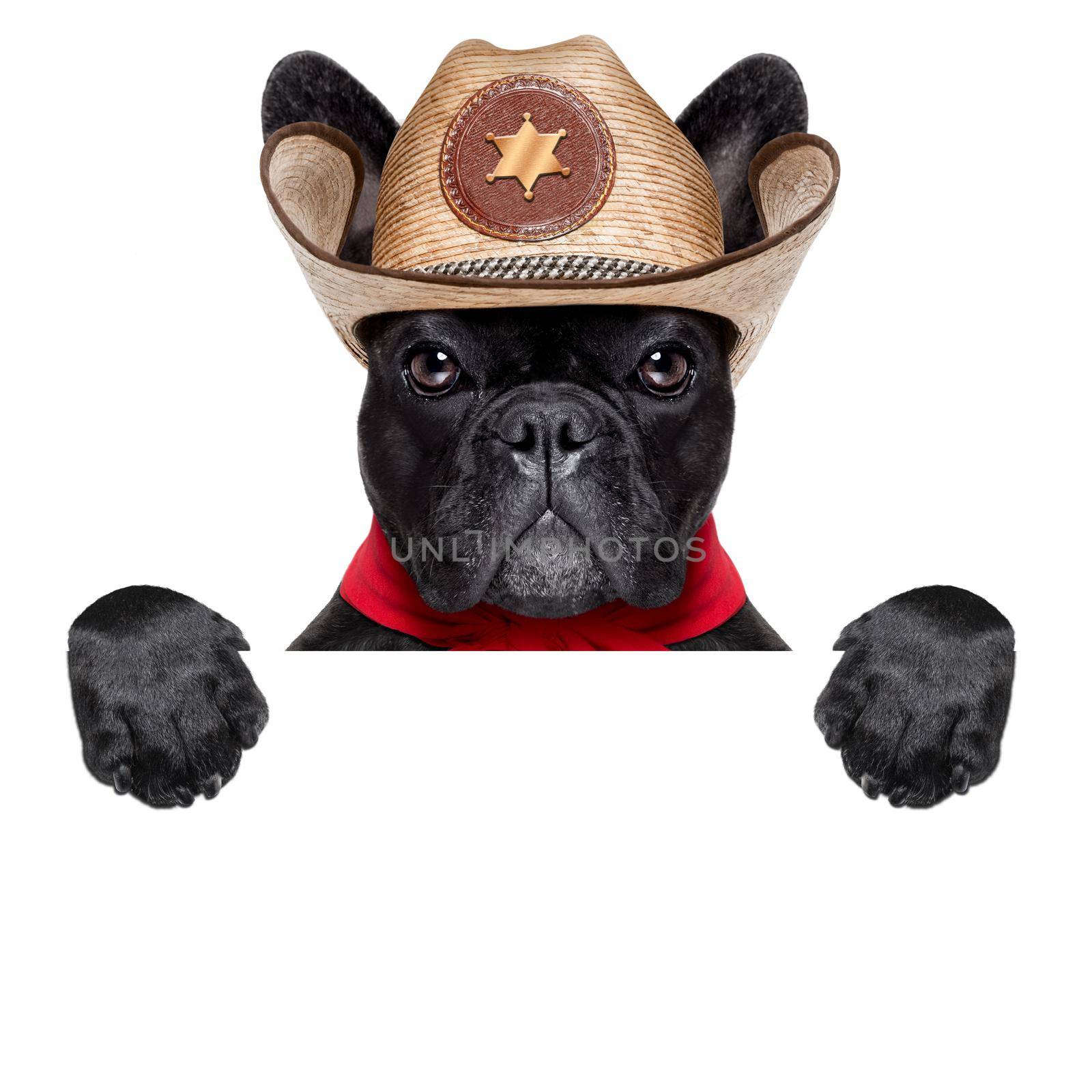 cool cowboy dog behind white blank banner or placard