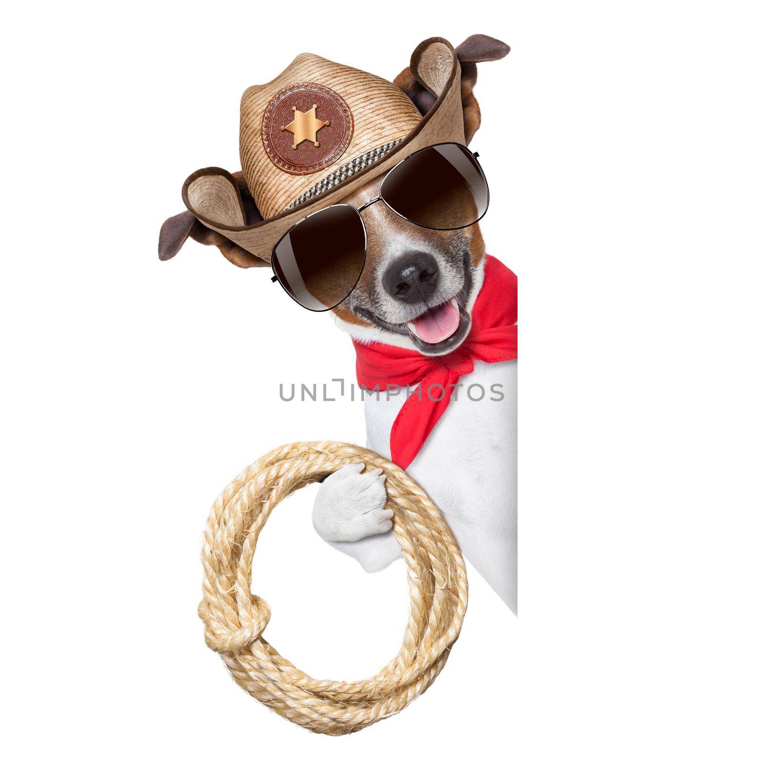 cowboy dog by Brosch