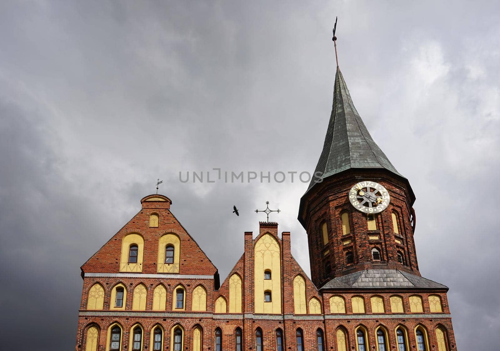 Kaliningrad, Russia. Landscape with views of the Cathedral on the island of Kant.