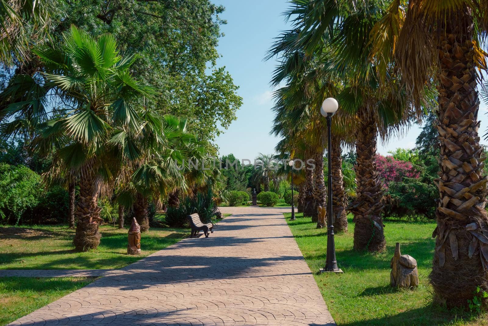 Natural landscape with a view of the Park of southern cultures. Sochi, Russia