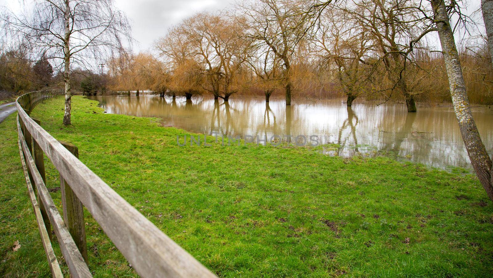 Flooded filed, high water, Farm fence, green grass, flooded filed with trees and water reflection. Global warming disaster. UK, England, Suffolk 2021