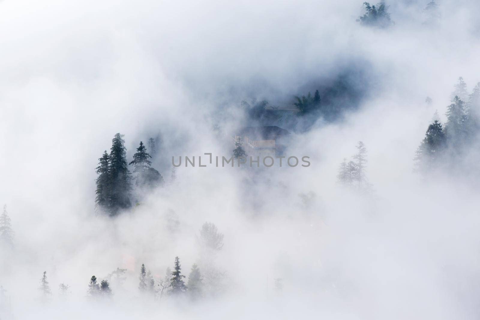 Sapa valley city in the mist in the morning, Vietnam
