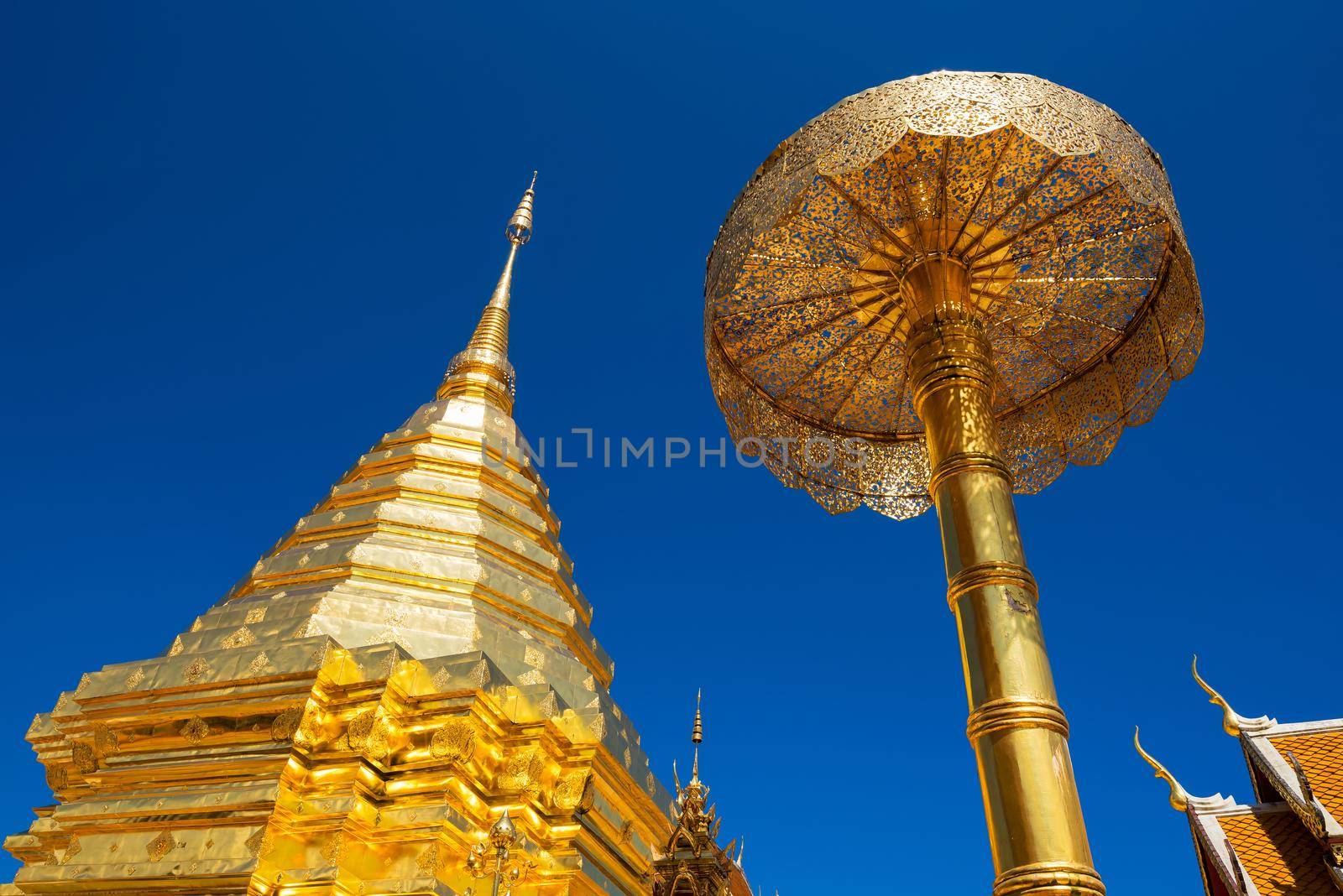 Wat Phra That Doi Suthep with blue sky in Chiang Mai. The attractive sightseeing place for tourists and landmark of Chiang Mai,Thailand by Nuamfolio