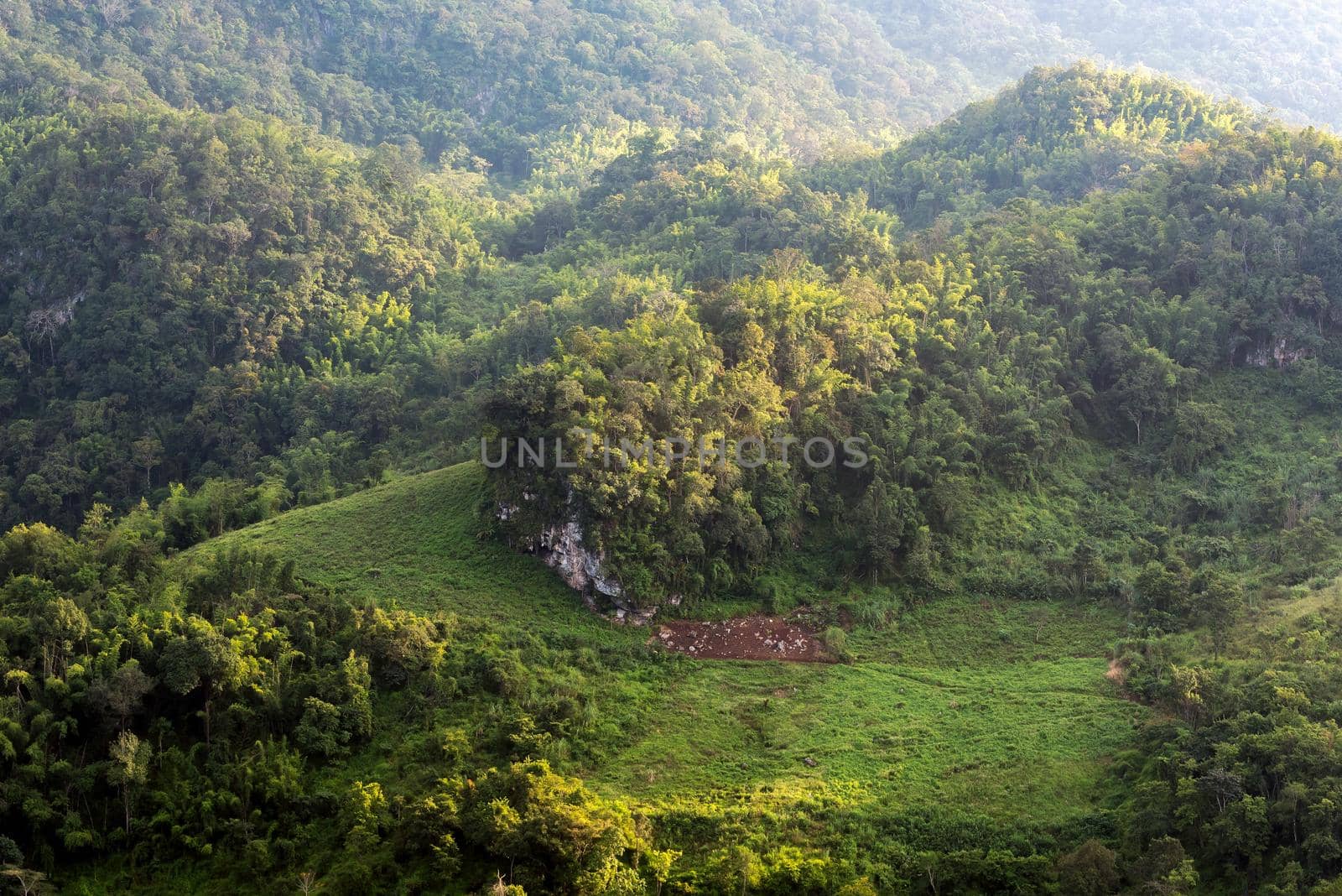 Nature forests with sunrise at mountains area in Chiang Mai,Thailand.