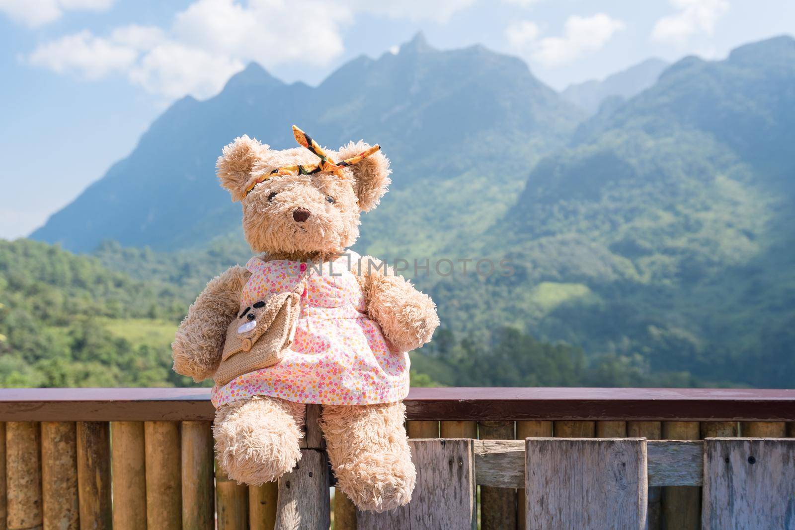 Bear doll sitting and relax in the morning time with nature mountain view in background 