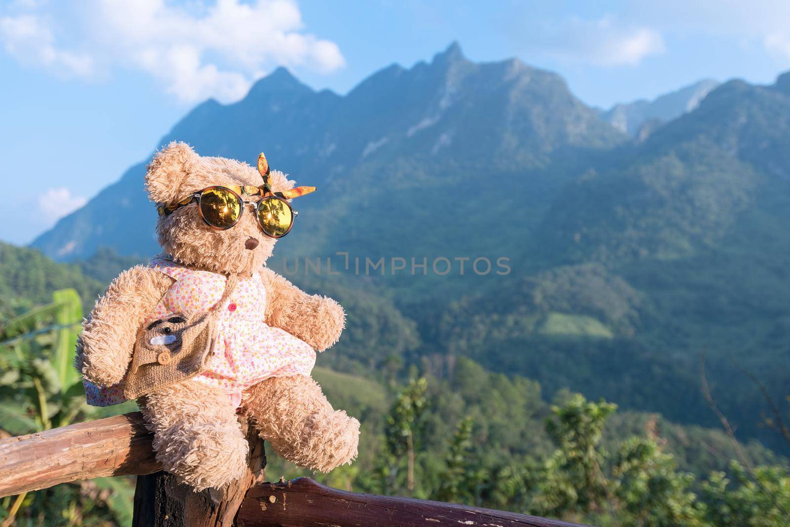 Bear doll sitting and relax in the morning time with nature mountain view in background 