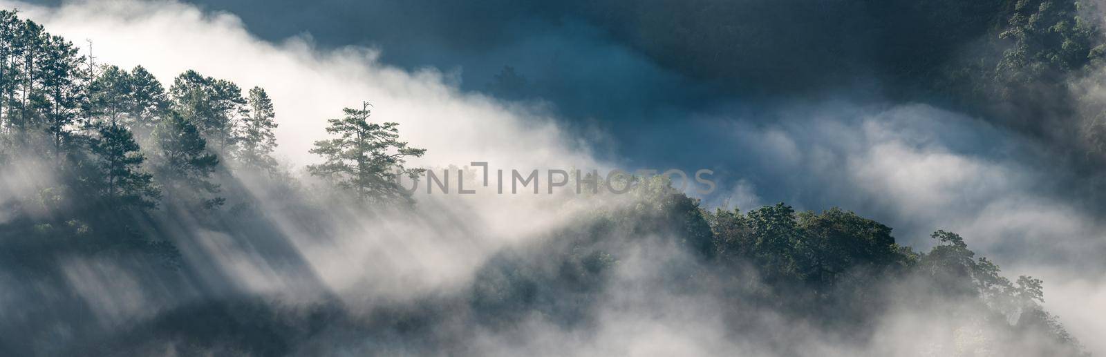 Panorama view of amazing mist moving over the nature mountains during sunrise at mountains area in Thailand. by Nuamfolio