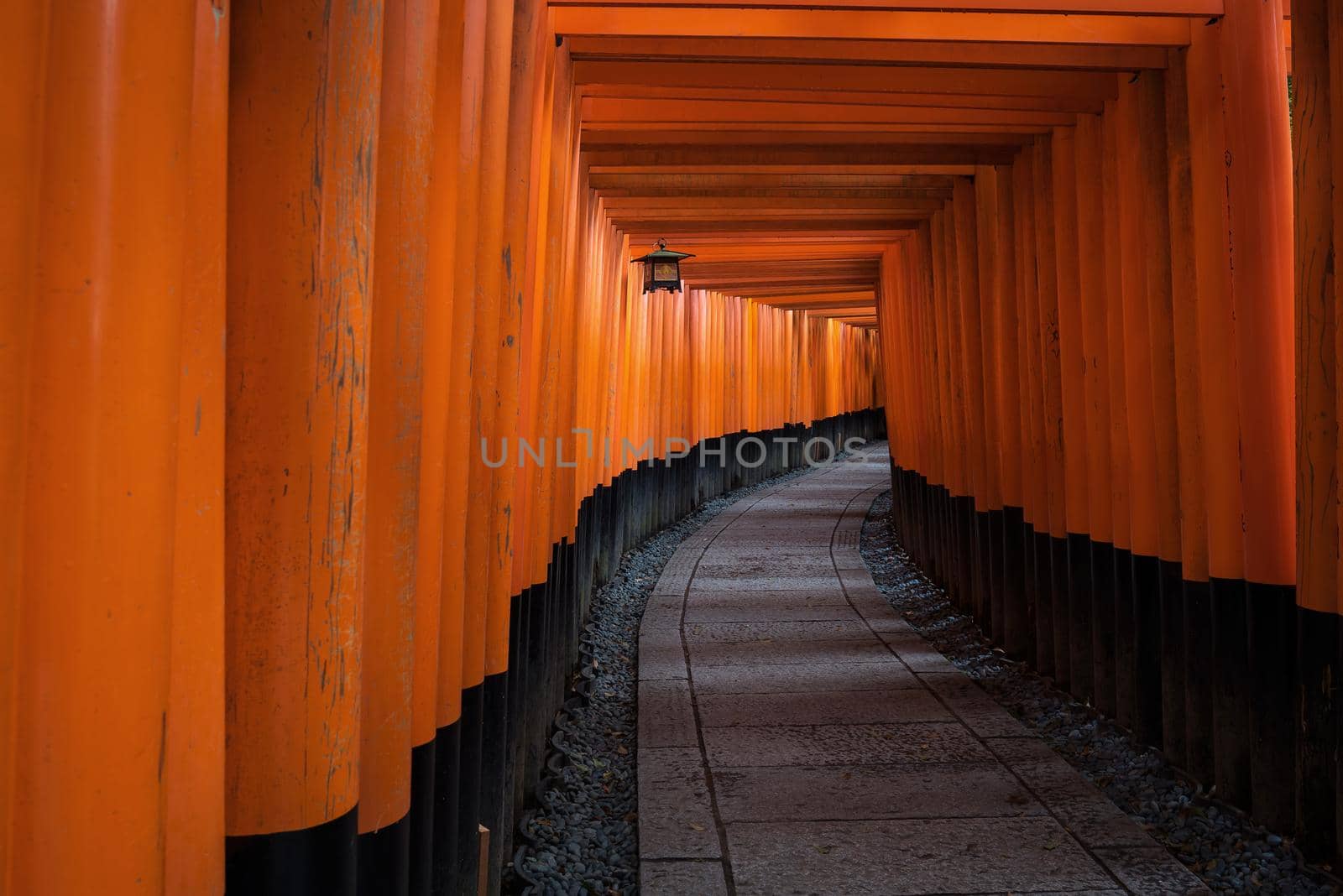 The red torii gates walkway path at fushimi inari taisha shrine the one of attraction  landmarks for tourist in Kyoto, Japan by Nuamfolio