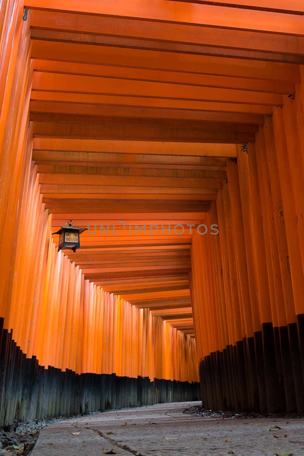 The red torii gates walkway path at fushimi inari taisha shrine the one of attraction  landmarks for tourist in Kyoto, Japan by Nuamfolio