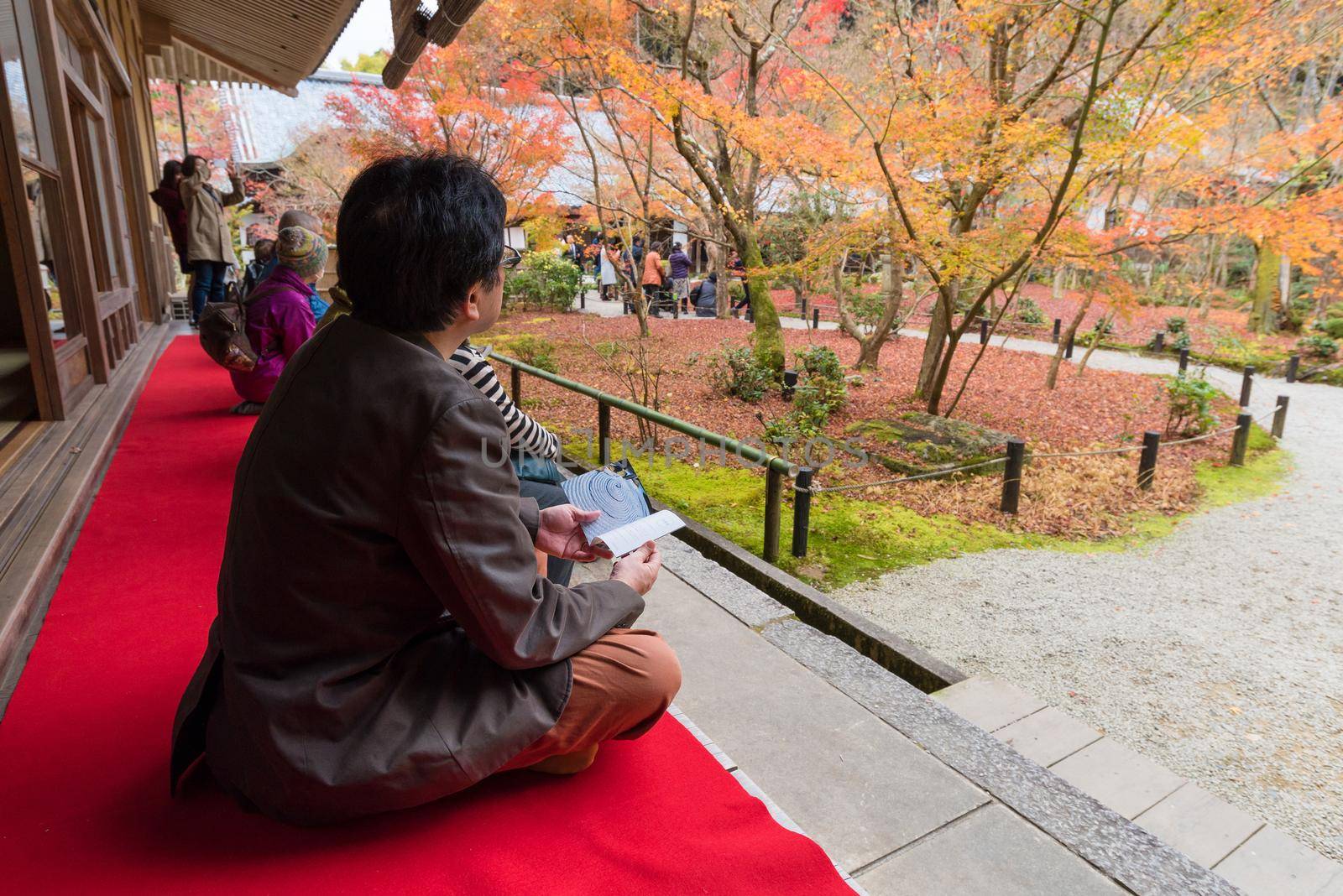 Tourists enjoy watching maple leaf in zen garden at Japanese temple in Kyoto,Japan by Nuamfolio