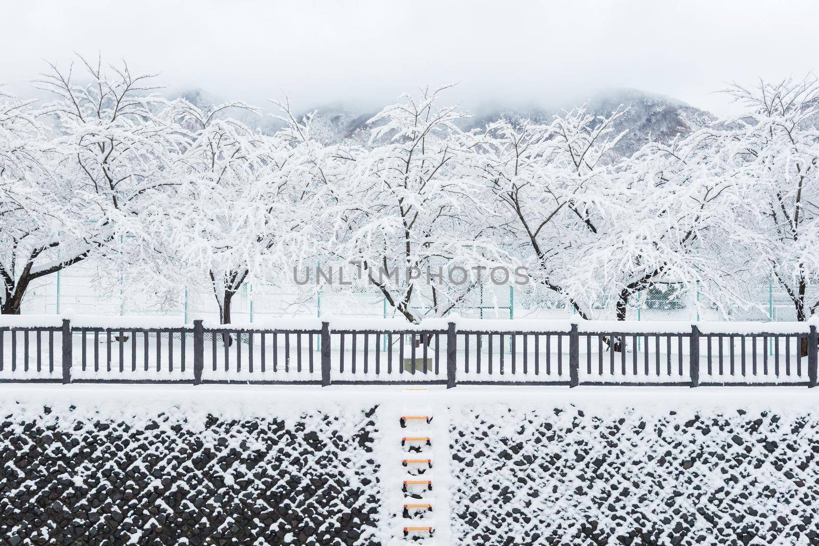 Fresh white snow fall at public park in winter season at Kawaguchiko,Japan by Nuamfolio