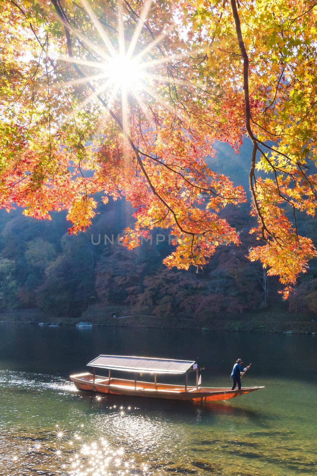 Beautiful nature view of Arashiyama in autumn season along the river in Kyoto, Japan. Arashiyama is a one of attraction landmark for tourist in Kyoto, Japan.