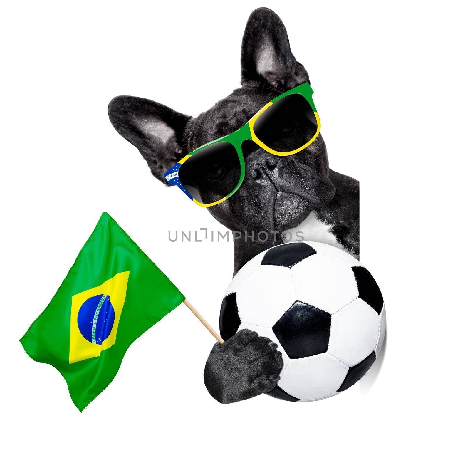 brazil soccer dog  with flag and ball beside a white blank white banner or placard