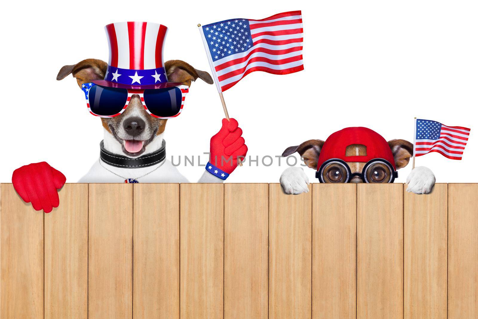 american dogs by Brosch
