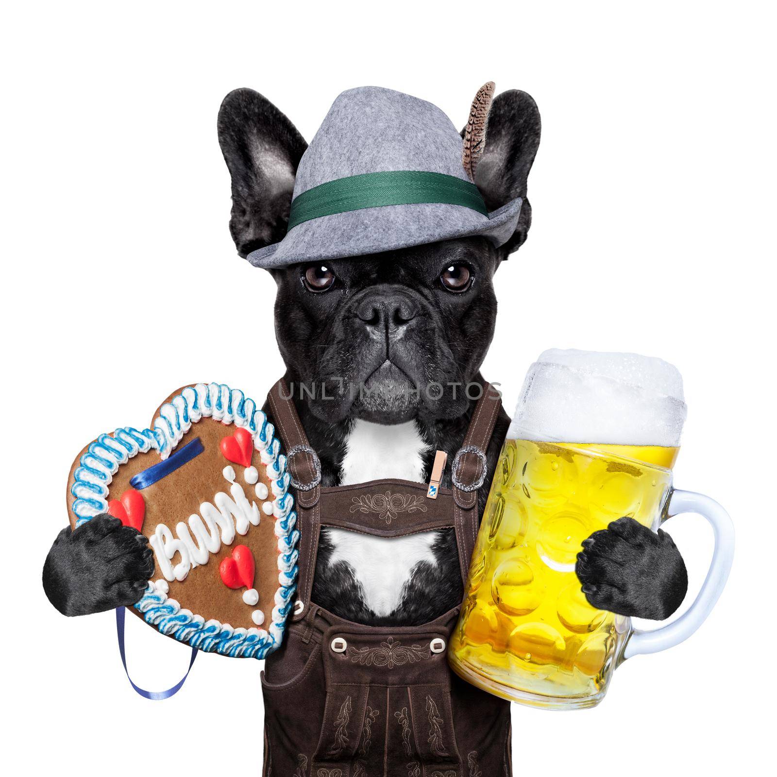 bavarian german  dog  with beer mug and gingerbread heart