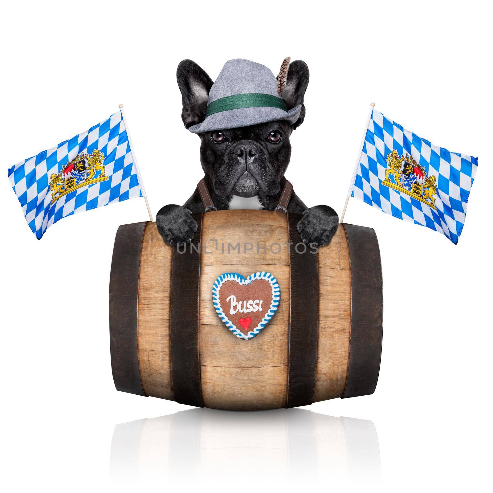 bavarian german dog behind beer barrel and  bavarian flags