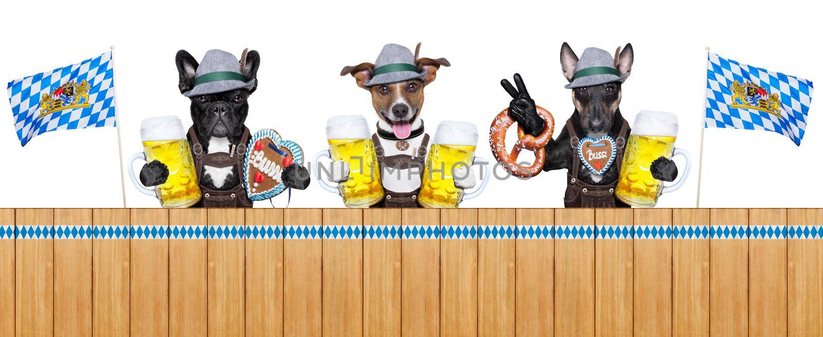 three bavarian  dogs behind a fence with beer mugs and pretzel bread
