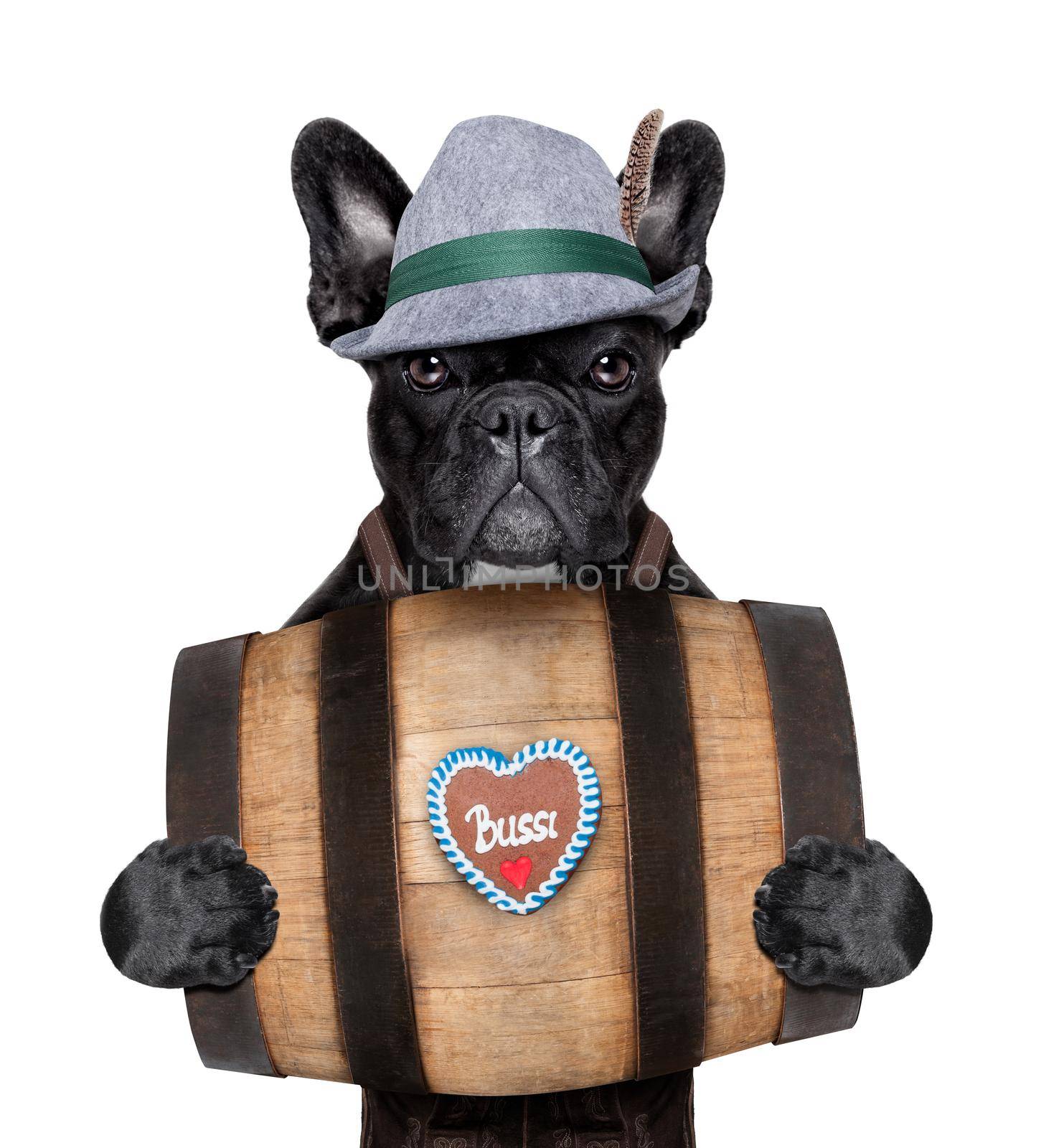 bavarian  dog holding a beer barrel with gingerbread heart