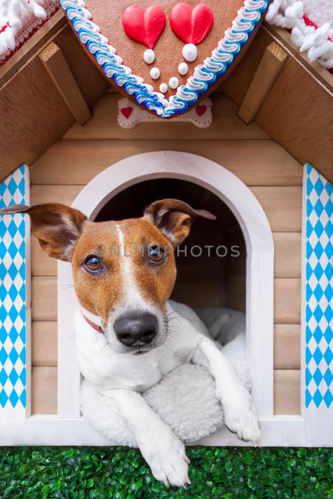 bavarian dog house by Brosch