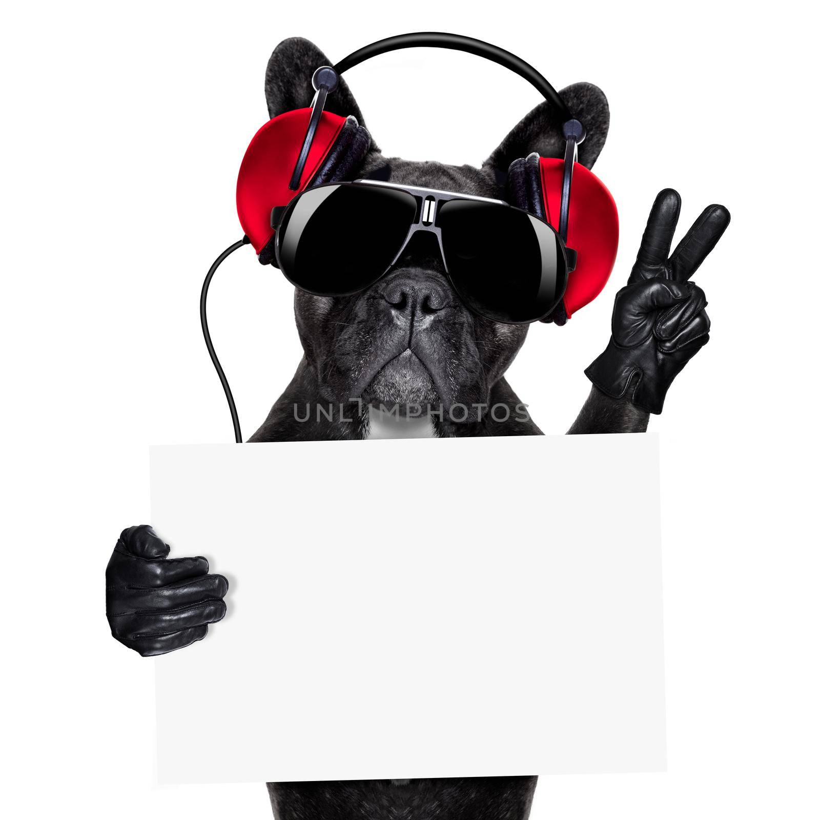 cool dj dog listening to music holding a white and blank banner or placard with peace or victory fingers