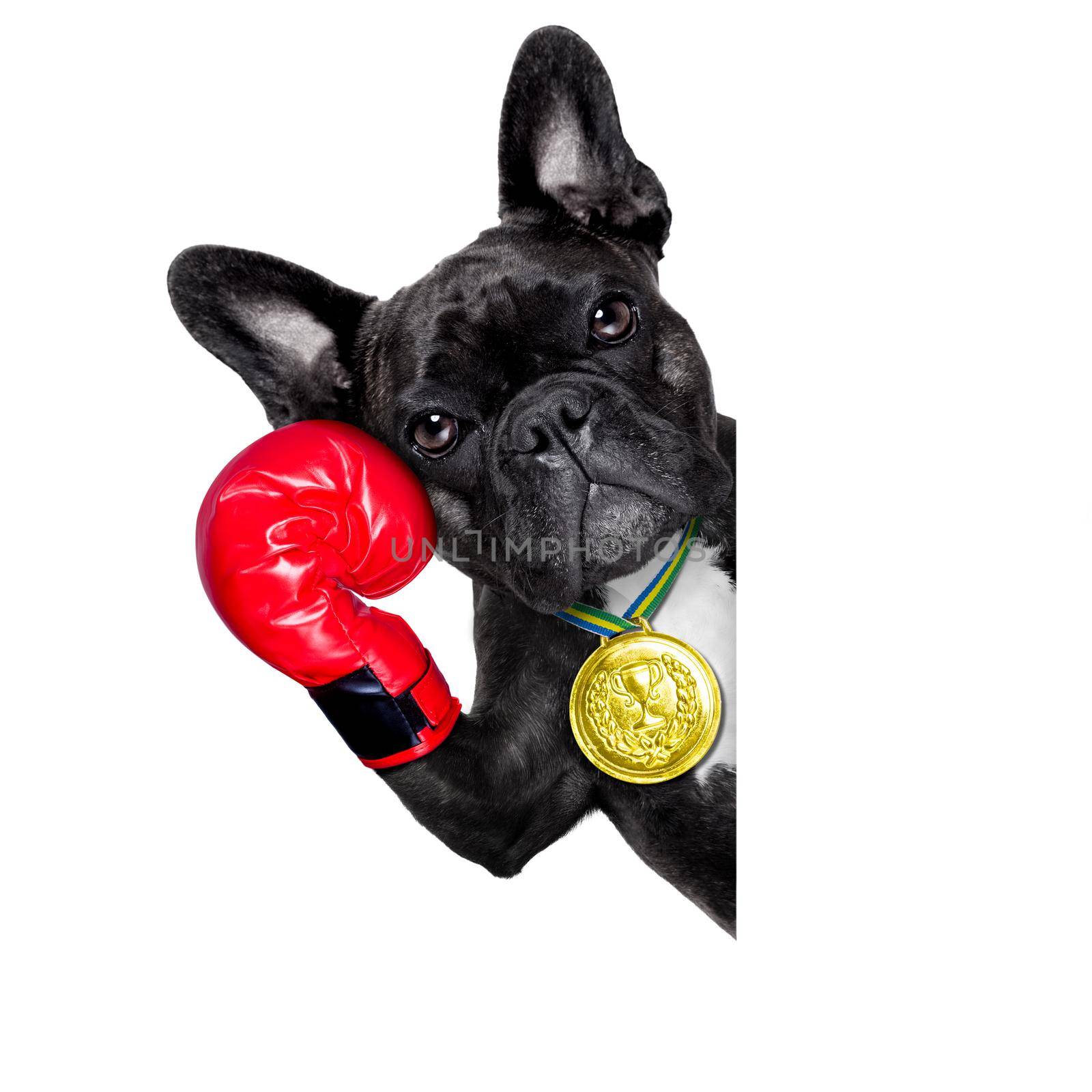 dog as boxing trainer with gold medal beside a white and blank banner or placard