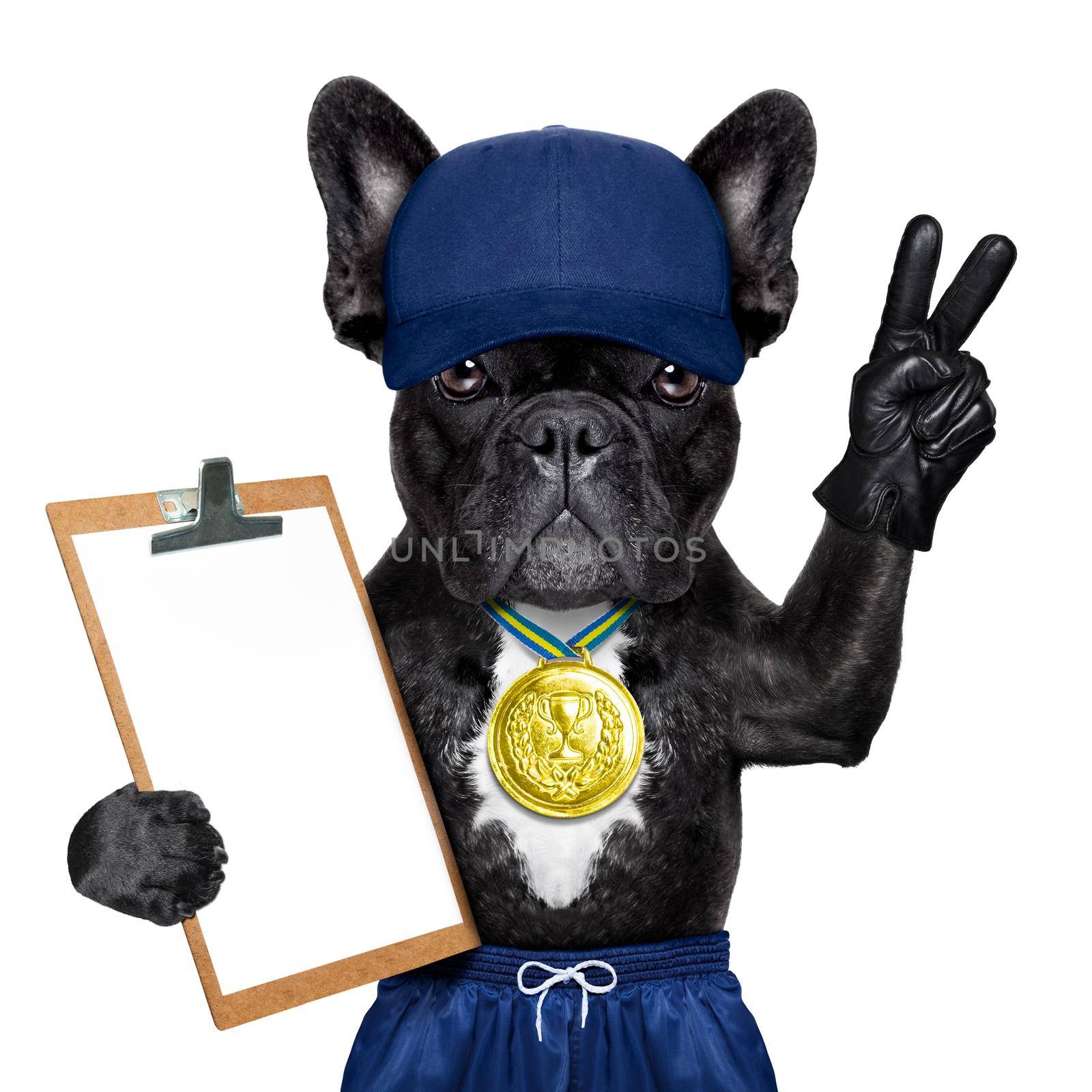 dog as  gym trainer with gold medal making peace and winner signs with fingers holding a clipboard