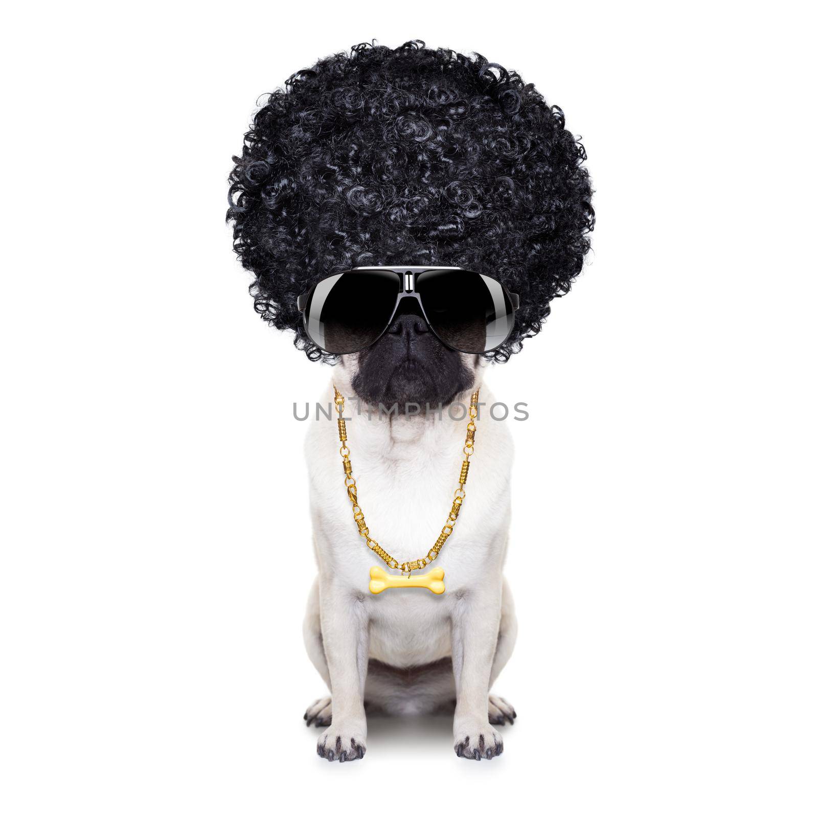 gangster cool afro dog wit gold chain and sunglasses