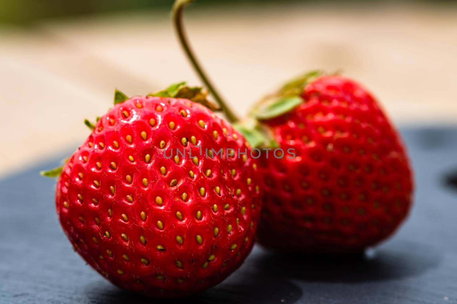 Close up of fresh strawberries showing seeds achenes. Details of fresh ripe red strawberries. by vladispas