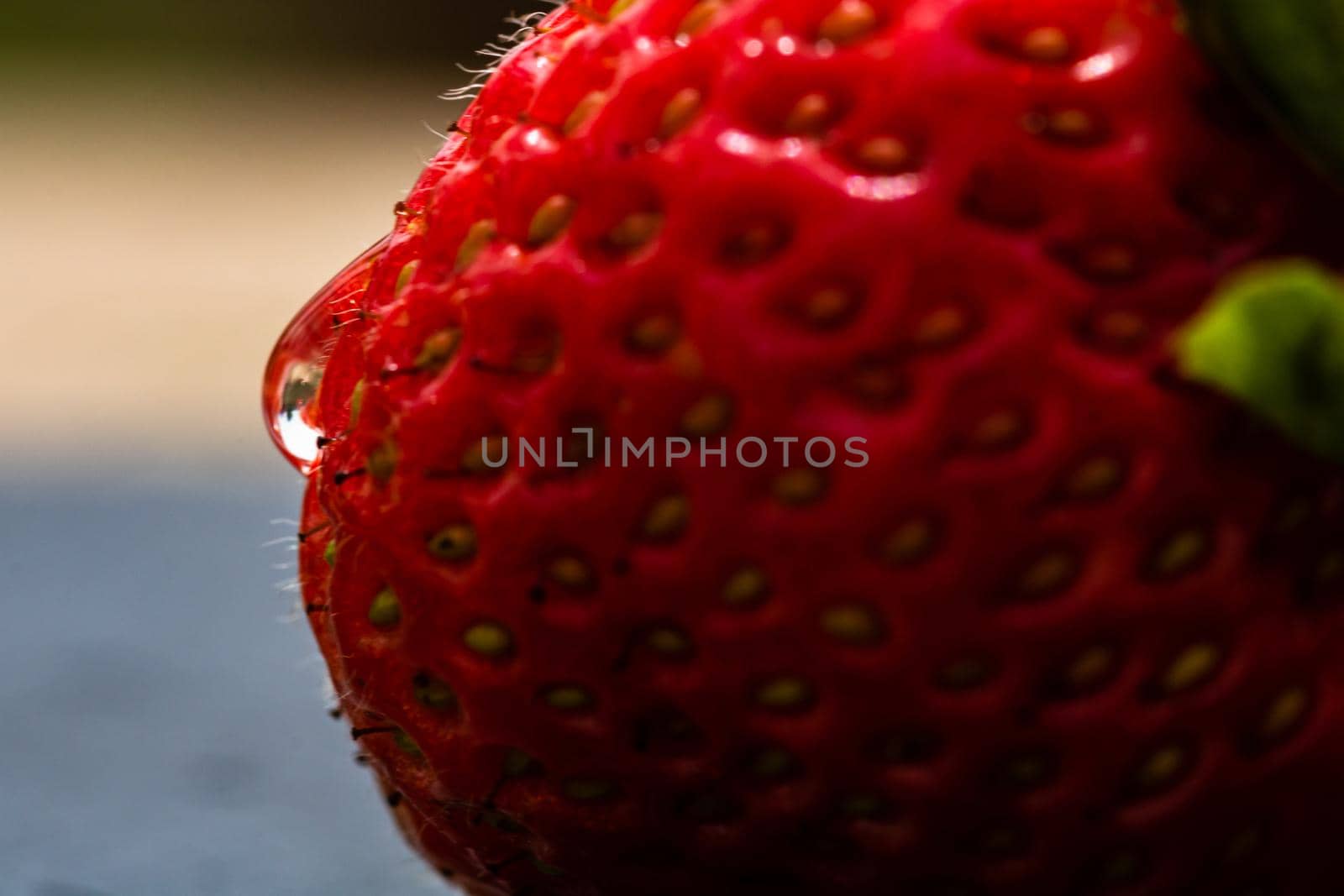 Close up of fresh strawberry showing seeds achenes. Water drop on fresh ripe red strawberry. by vladispas