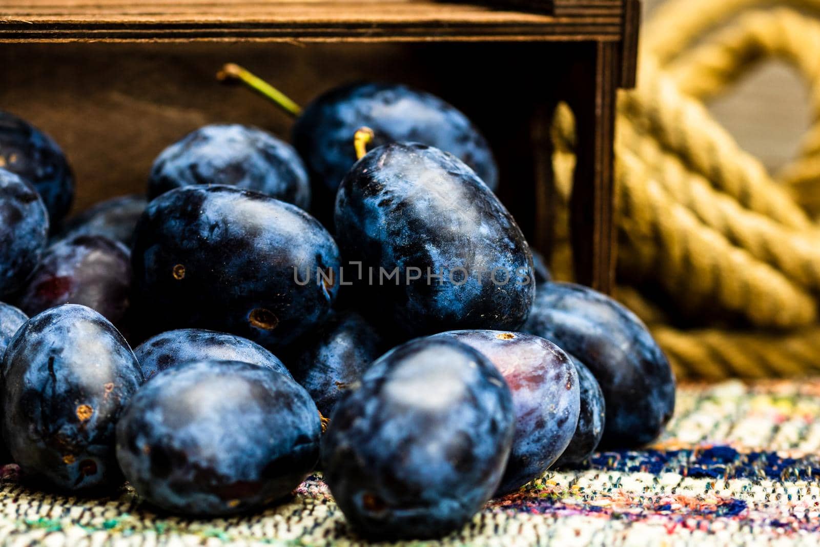 Ripe blue plums in a wooden crate in a rustic composition.  by vladispas