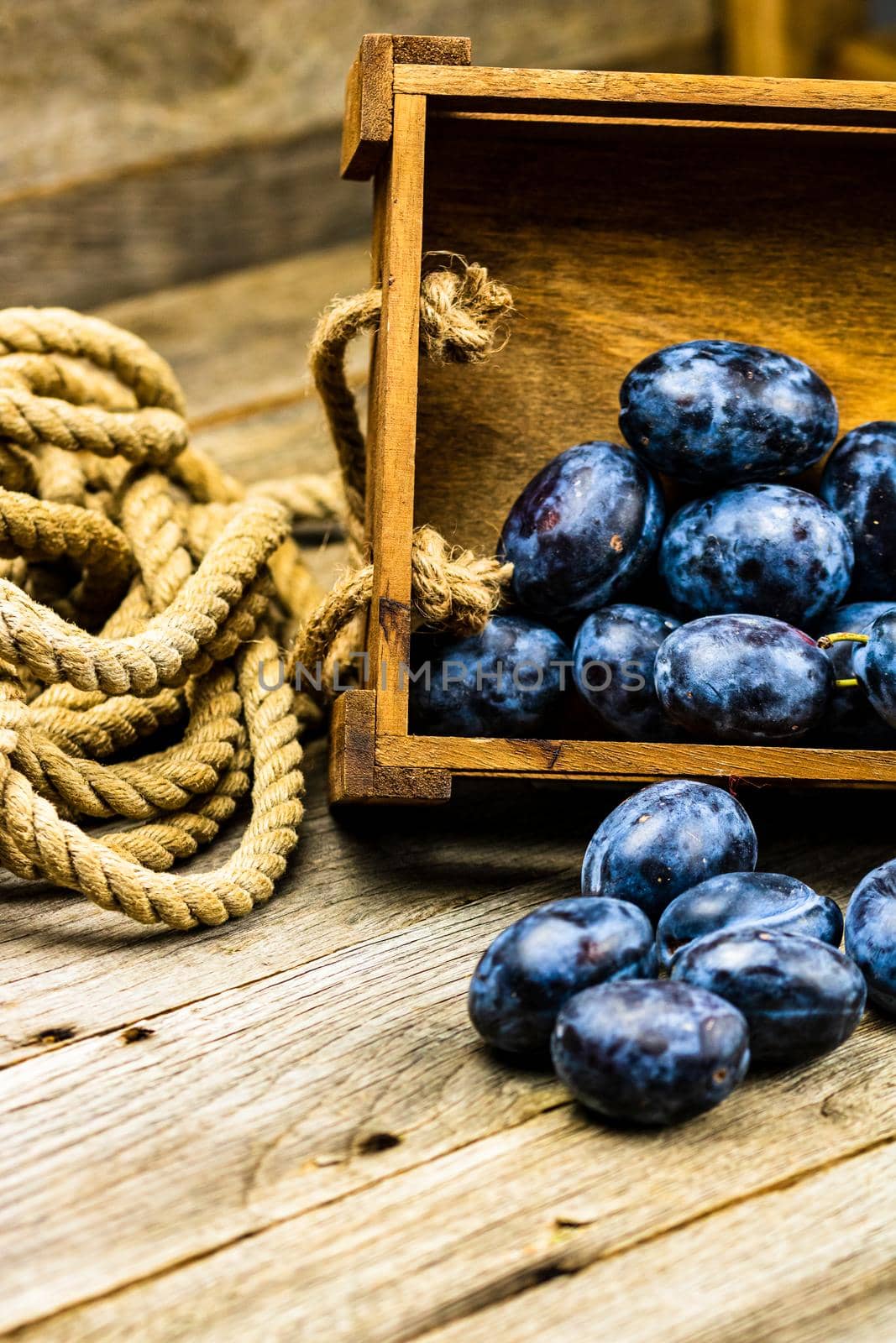 Ripe blue plums in a wooden crate in a rustic composition.