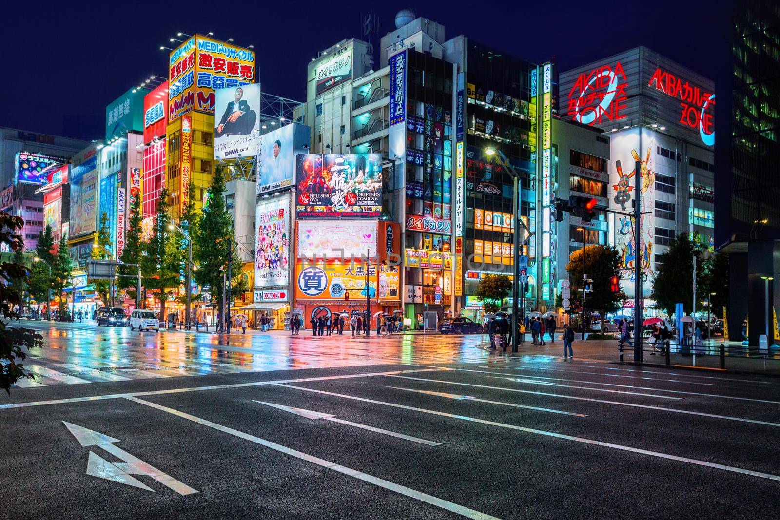 Tokyo, Japan - November 19, 2018: Neon lights and billboard advertisements on buildings at Akihabara at rainy night. Akihabara is a shopping district for video games, anime, manga, and computer goods.