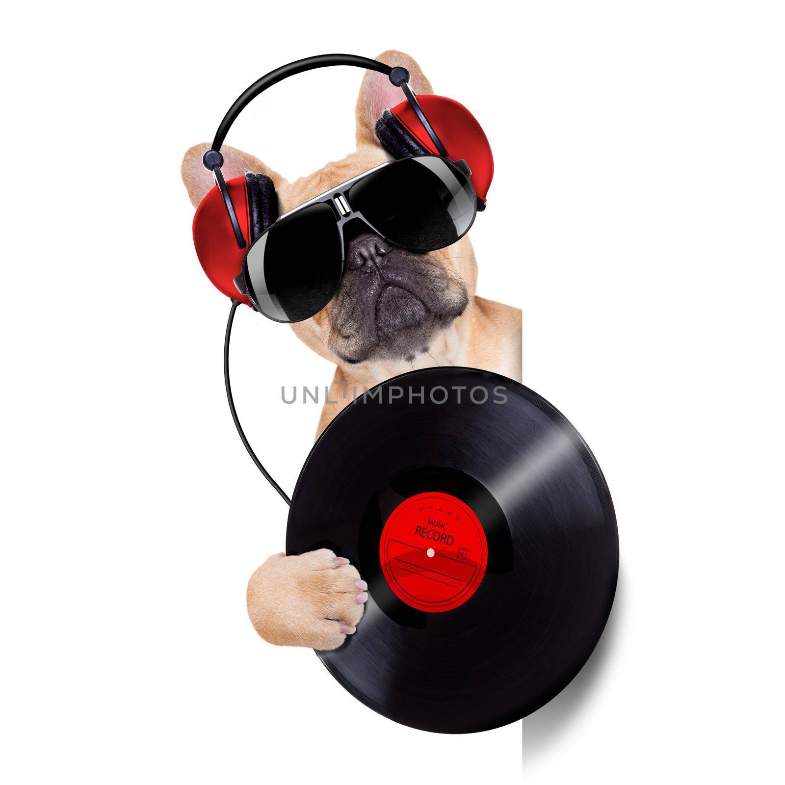 dj dog playing music record beside a white and blank empty banner or placard, isolated on white background