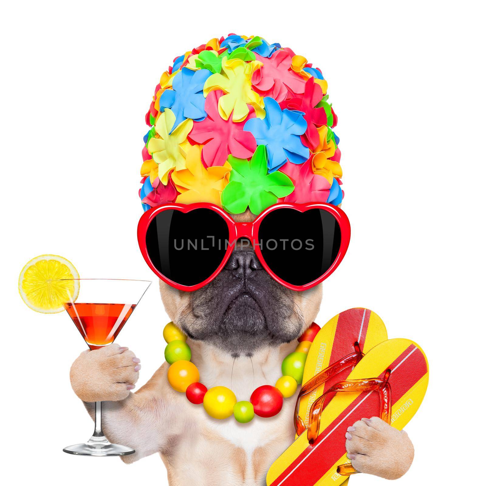 tropical vacation dog by Brosch