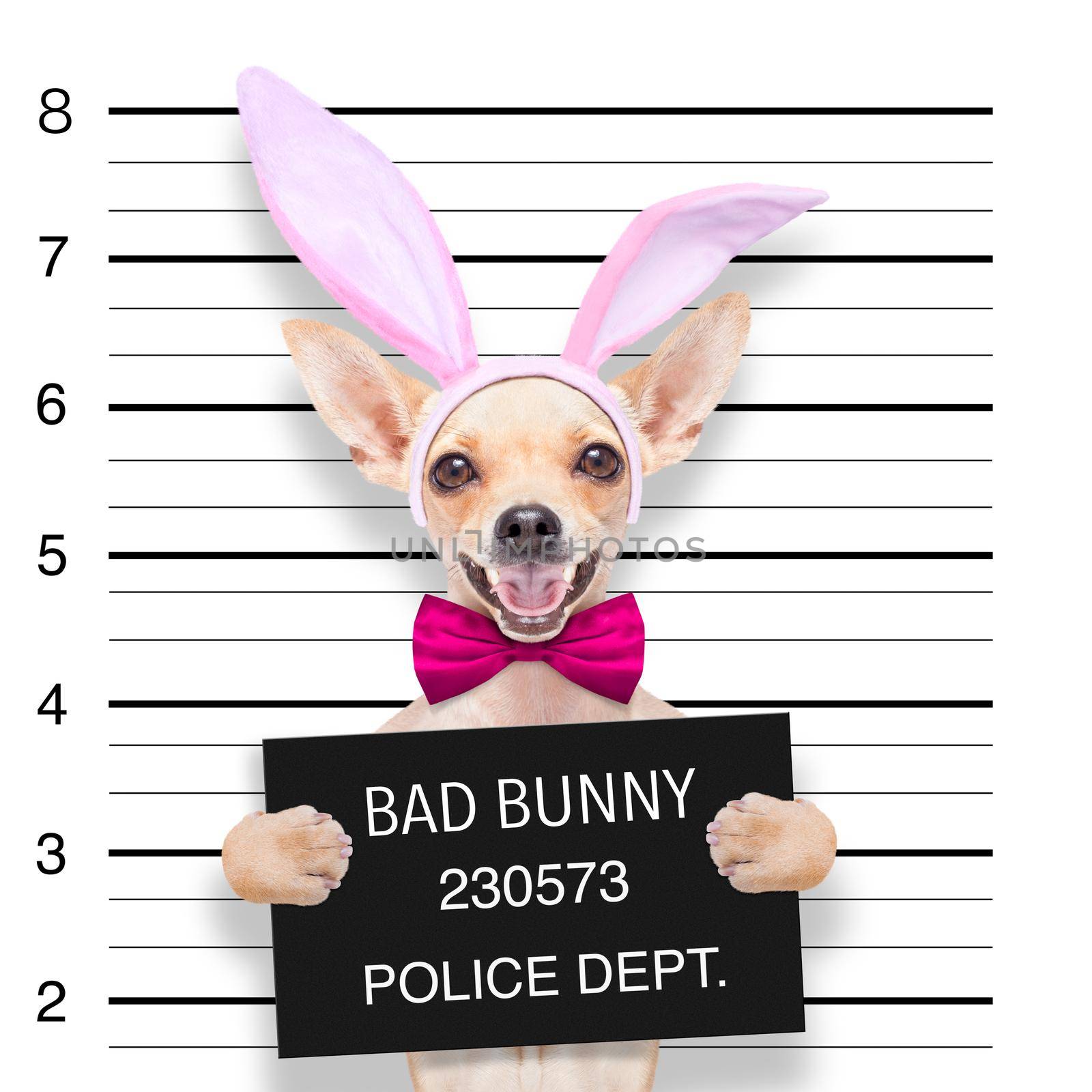 easter mugshot dog by Brosch