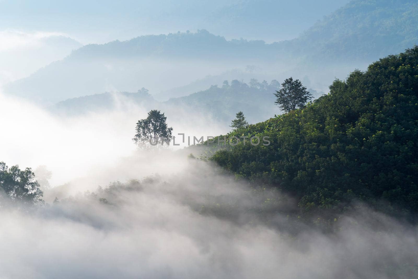 View of amazing mist moving over the nature mountains during sunrise at mountains area in Thailand.