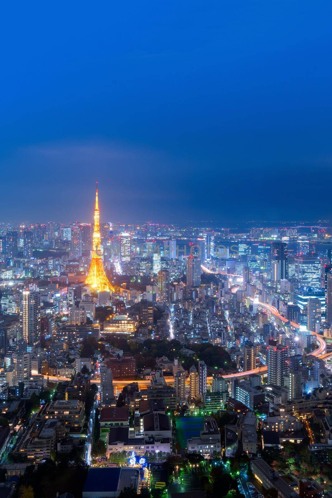Panorama view over Tokyo tower and Tokyo cityscape view from Roppongi Hills at night in Tokyo,Japan by Nuamfolio