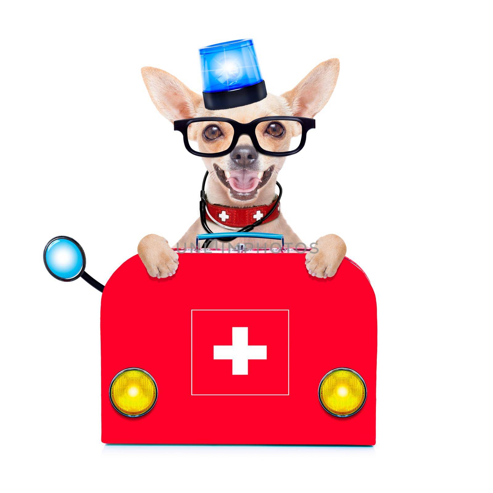 chihuahua dog as a medical veterinary emergency doctor with stethoscope and first aid kit behind a white and blank banner  and blue lights, isolated on white background