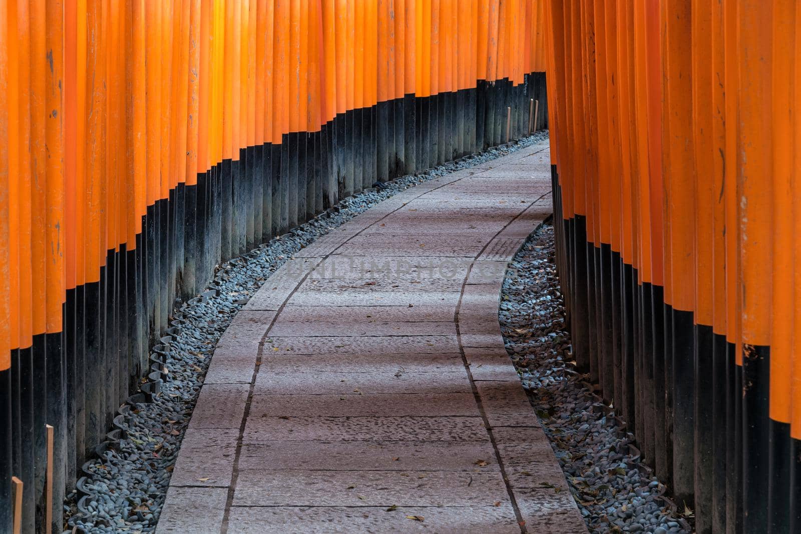 The red torii gates walkway path at fushimi inari taisha shrine the one of attraction  landmarks for tourist in Kyoto, Japan