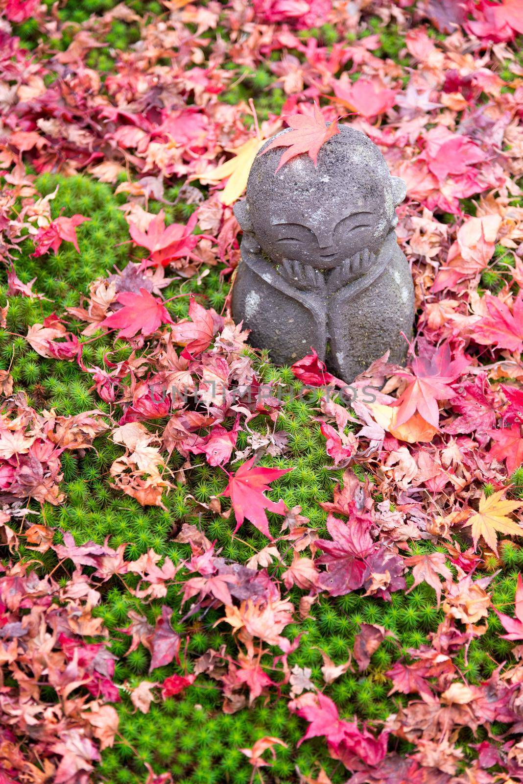 Cute stone sculpture doll and Maple Leaves at Enkoji Temple, Kyoto, Japan