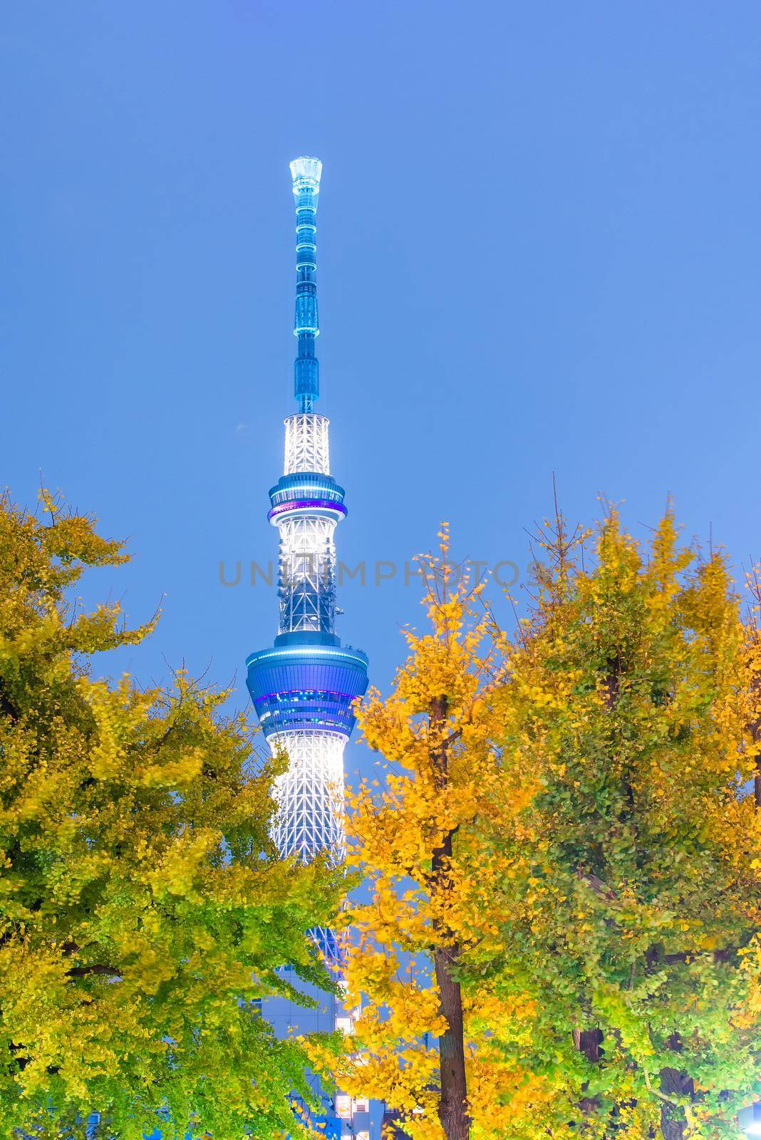 The Tokyo Skytree a new television broadcasting tower and landmark of Tokyo at night in Japan by Nuamfolio