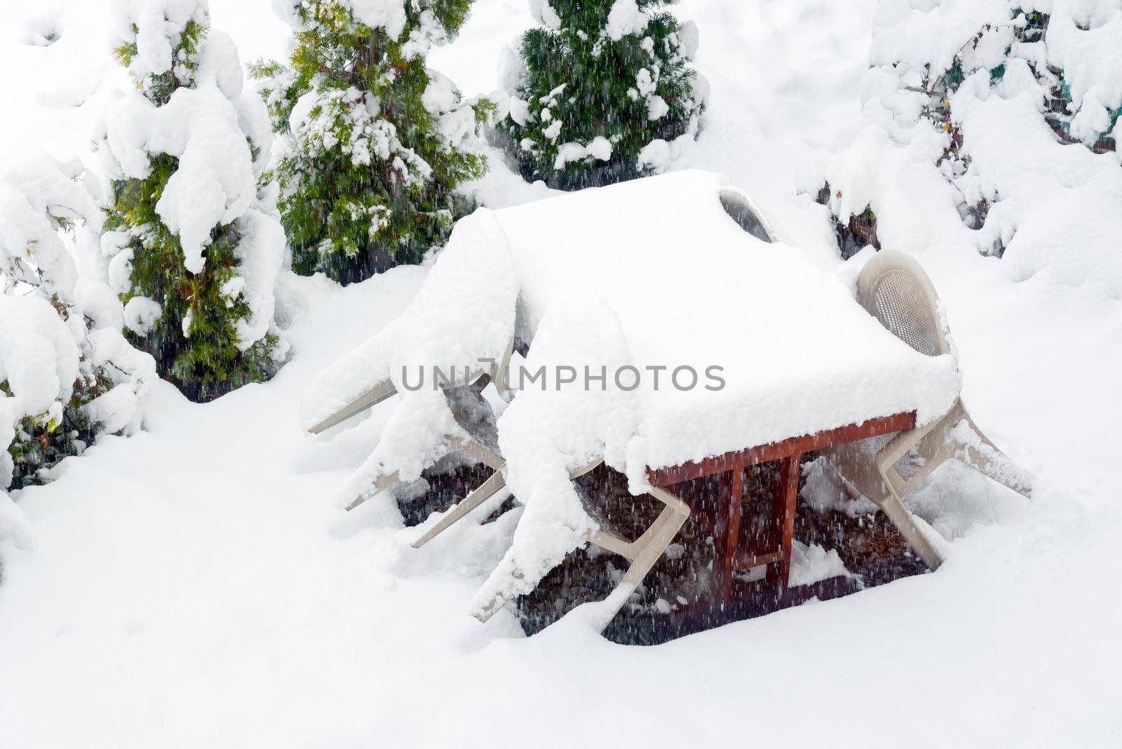 Fresh white snow falling in winter season at Kawaguchiko,Japan by Nuamfolio