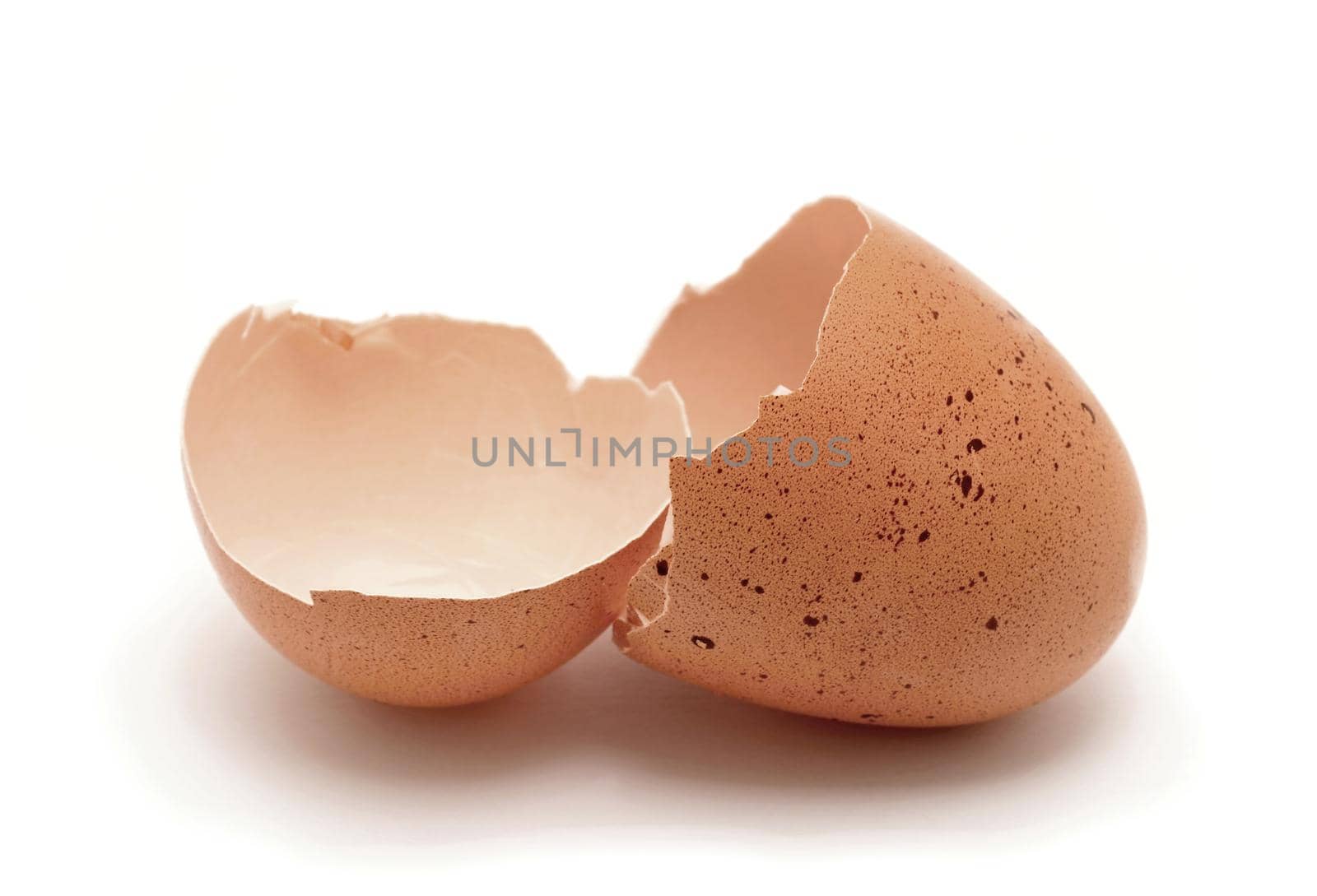 Opened cracked egg shell on white background.