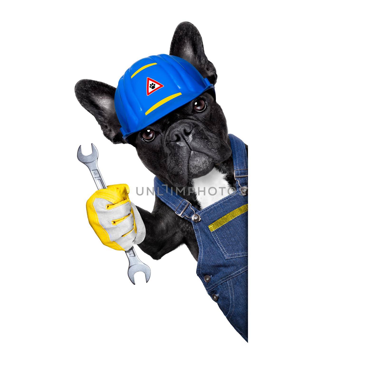 handyman dog worker with helmet  behind blank white banner , wrench in hand ,ready to repair, fix everything at home, isolated on white background