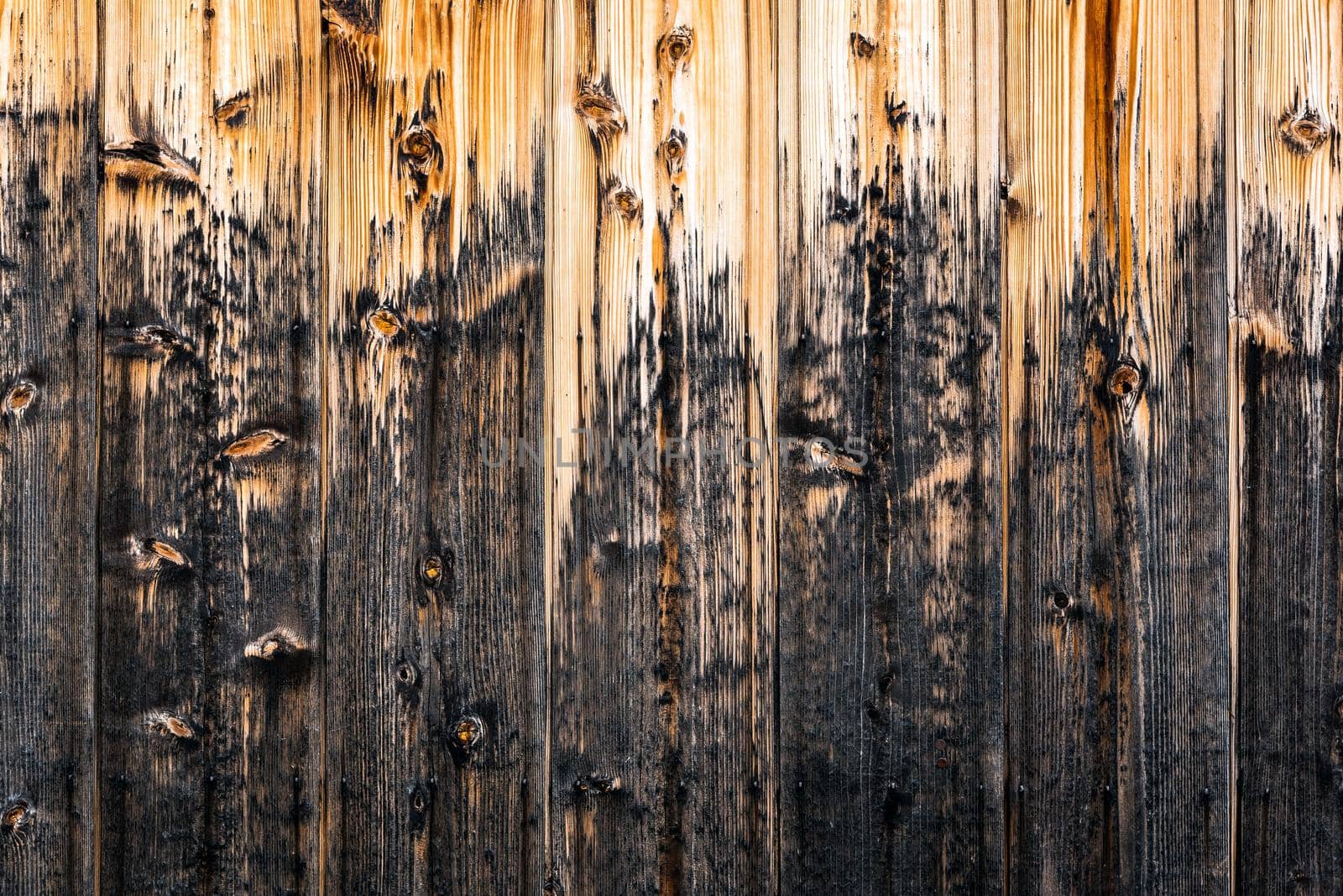 Wodden pattern of classic wood plank wall texture background. Retro decoration material for classical building  by Nuamfolio