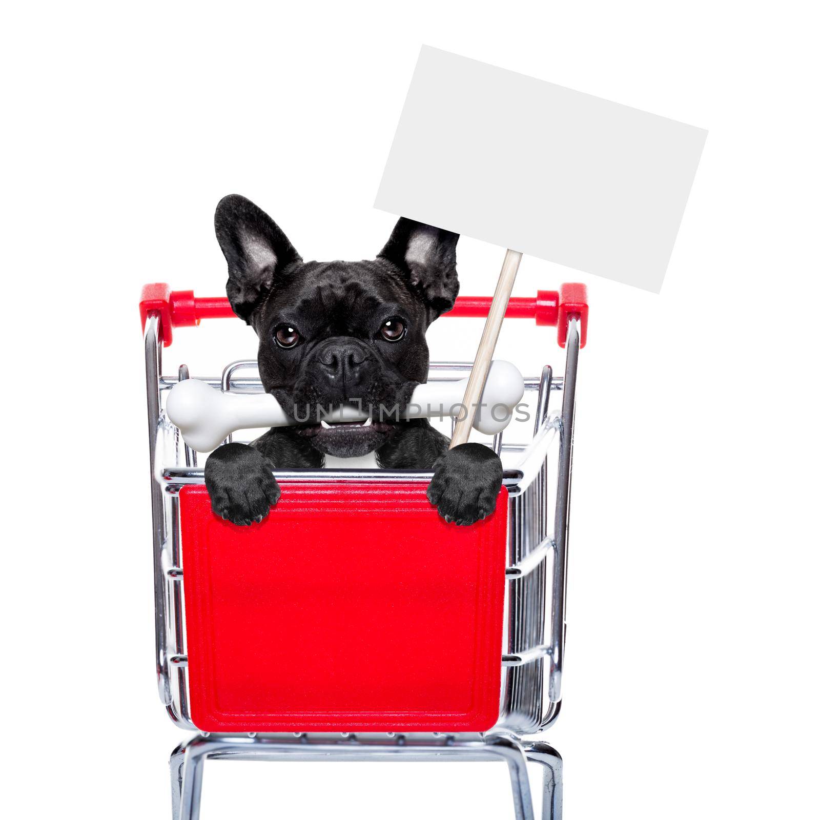 french bulldog dog inside a shopping cart trolley , behind  a blank  empty banner holding a placard, with a bone in mouth , isolated on white background