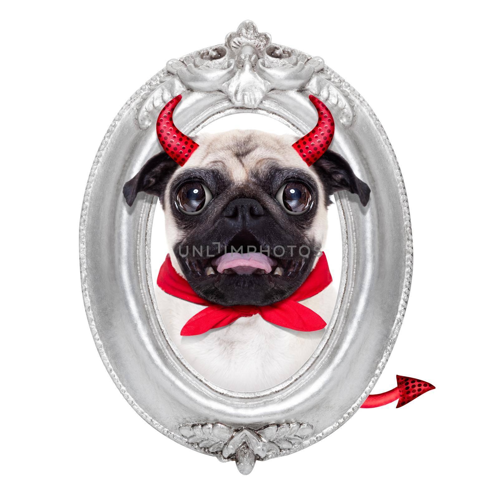 halloween devil pug dog  inside a grey silver frame on the wall, isolated on white background