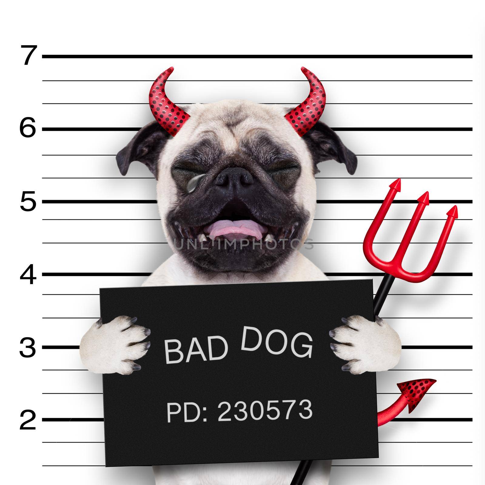 halloween  mugshot dog by Brosch