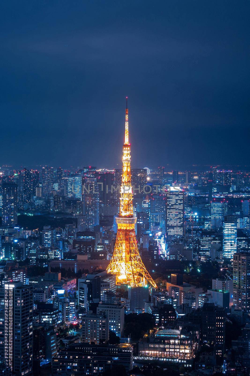 Aerial view over Tokyo tower and Tokyo cityscape view from Roppongi Hills at night. by Nuamfolio